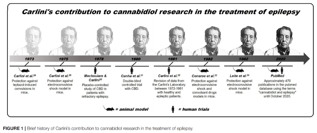Linha do tempo com as contribuições de Carlini do uso do canabidiol no tratamento da epilepsia (FONTE: BITENCOURT, TAKAHASHI e CARLINI, 2021).    